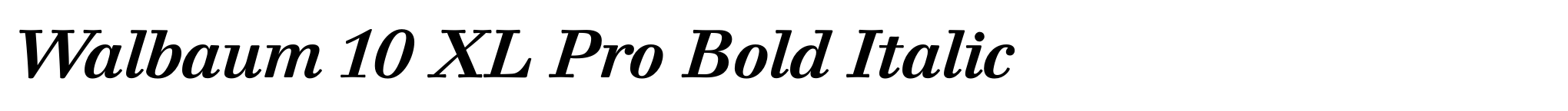 Walbaum 10 XL Pro Bold Italic image